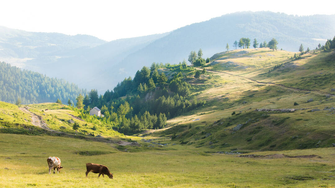 Wanderung Doberdol - Milishevc über grüne Wiesen in den Peaks of the Balkans