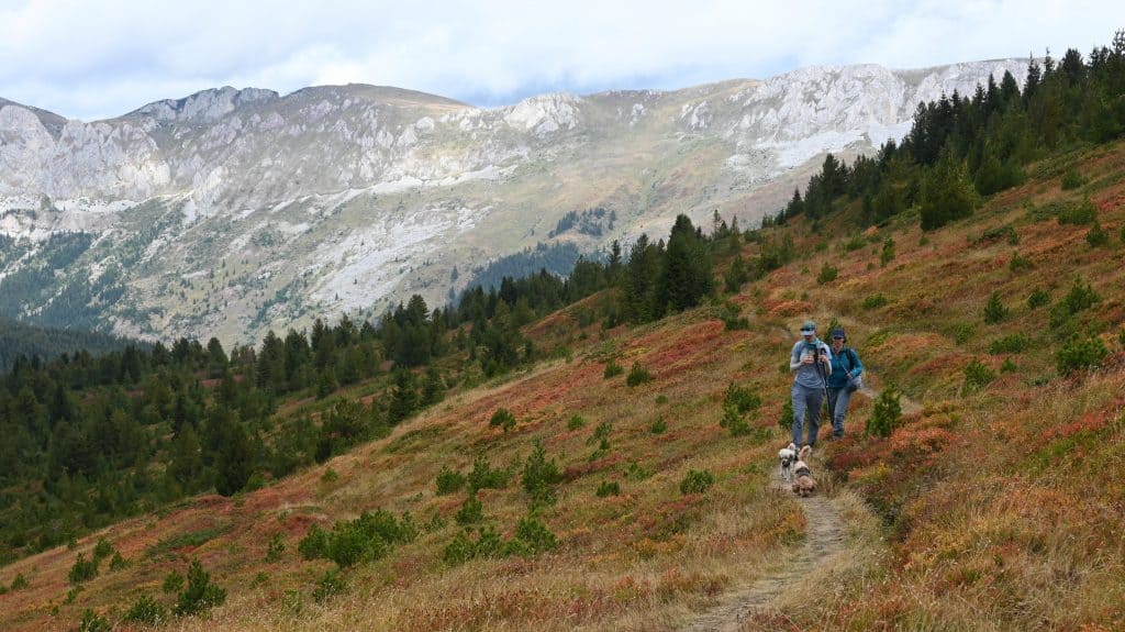 Wanderung Pusi i Magareve - Drelej