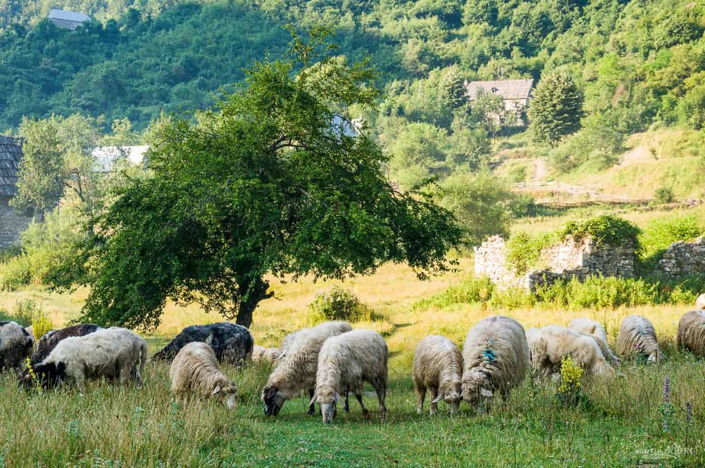 Pics des Balkans Doberdol