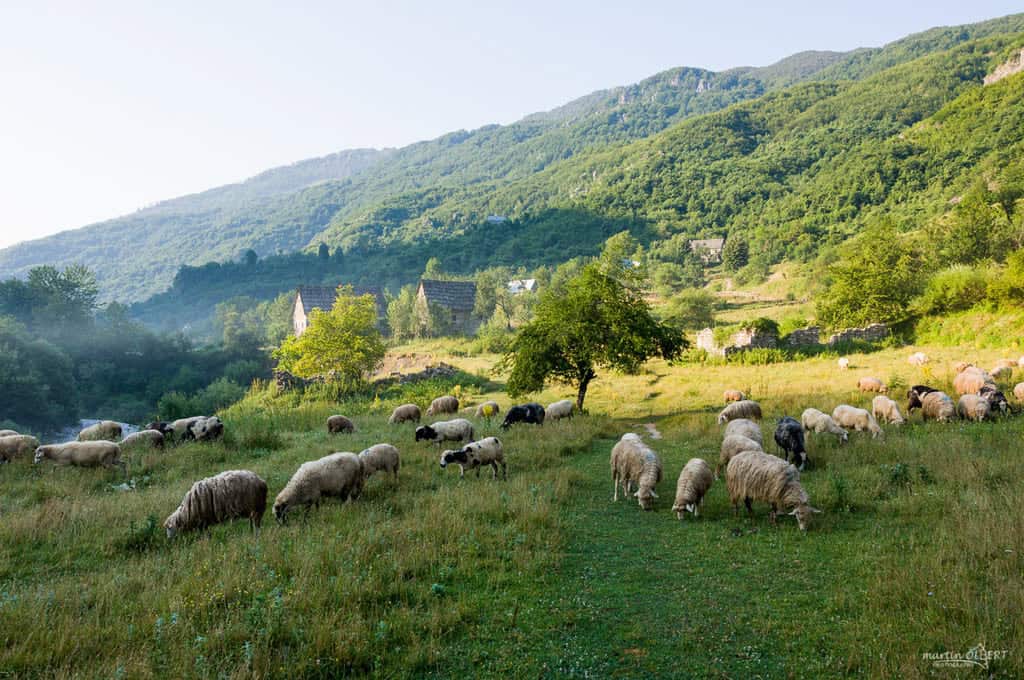Shepherd village Doberdol Albania in the border triangle